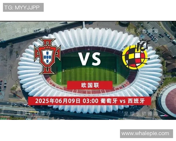 6月10日葡萄牙与荷兰精彩对决直播全程回顾与分析