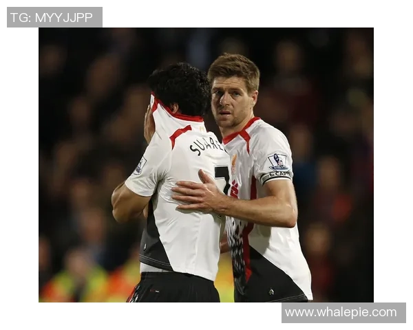 莱切斯特城队迎战曼城展现英超激烈对决精彩瞬间