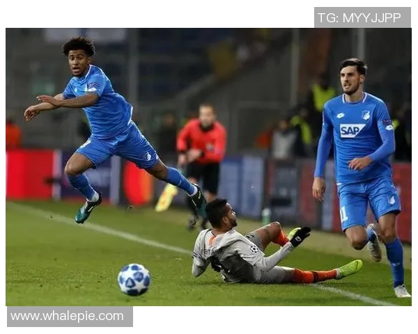 霍芬海姆迎战顿涅斯克强强对决谁能笑到最后 霍芬海姆迎战顿涅斯克强强对决谁能笑到最后