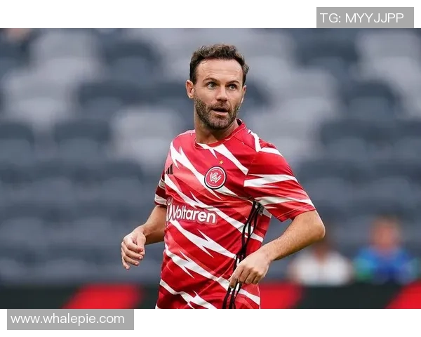 布里斯班狮吼主场迎战西悉尼流浪者激情对决即将上演