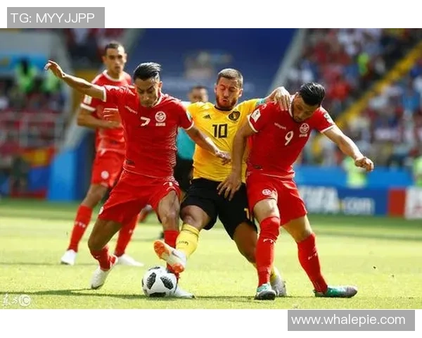 比利时与突尼斯比赛赔率分析及投注建议解析