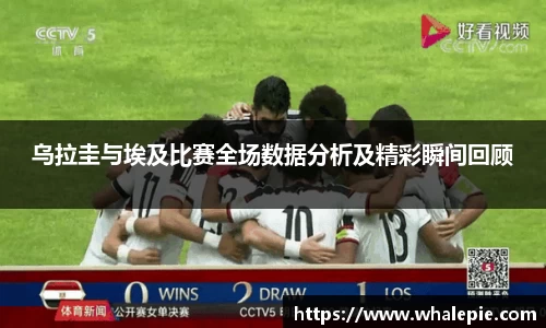乌拉圭与埃及比赛全场数据分析及精彩瞬间回顾